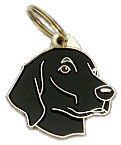 FLAT-COATED RETRIEVER - Medagliette per cani, medagliette per cani incise, medaglietta, incese medagliette per cani online, personalizzate medagliette, medaglietta, portachiavi